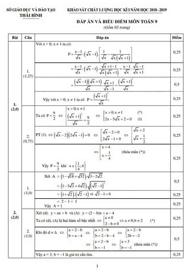 Đề kiểm tra học kì 1 môn Toán 9 tỉnh Thái Bình 2018-2019 có đáp án-1