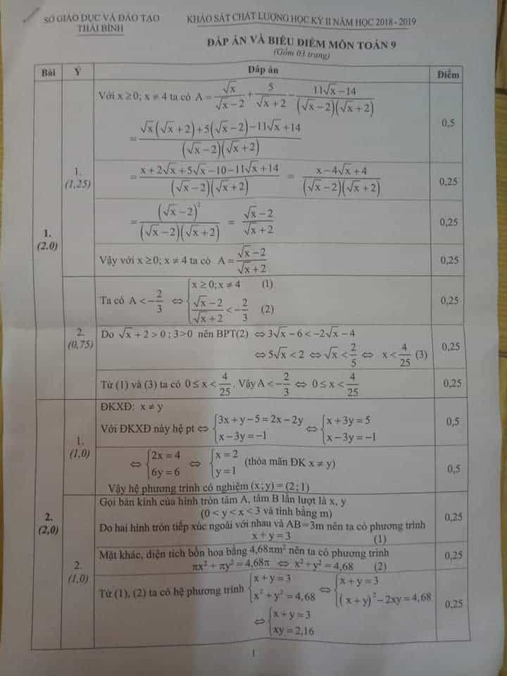 Đề thi HK2 môn Toán 9 tỉnh Thái Bình năm 2018-2019 có đáp án-1