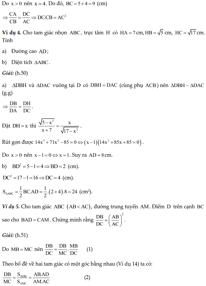 Chuyên đề tam giác đồng dạng - Toán lớp 8-2